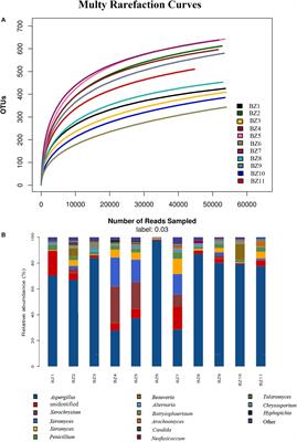 Assessment of the Microbiome and Potential Aflatoxin Associated With the Medicinal Herb Platycladus orientalis